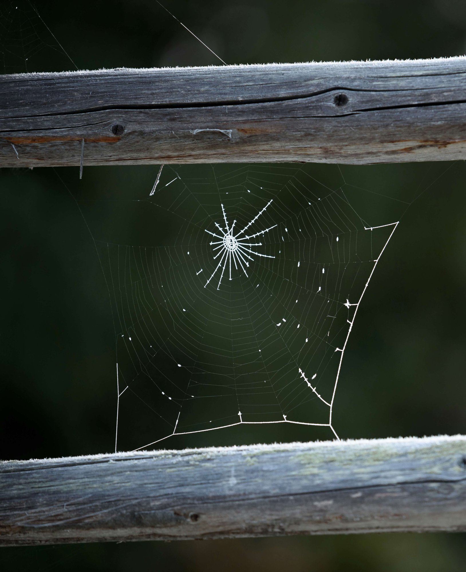 ales-krivec-bmzQAKwP03M-unsplash (1)