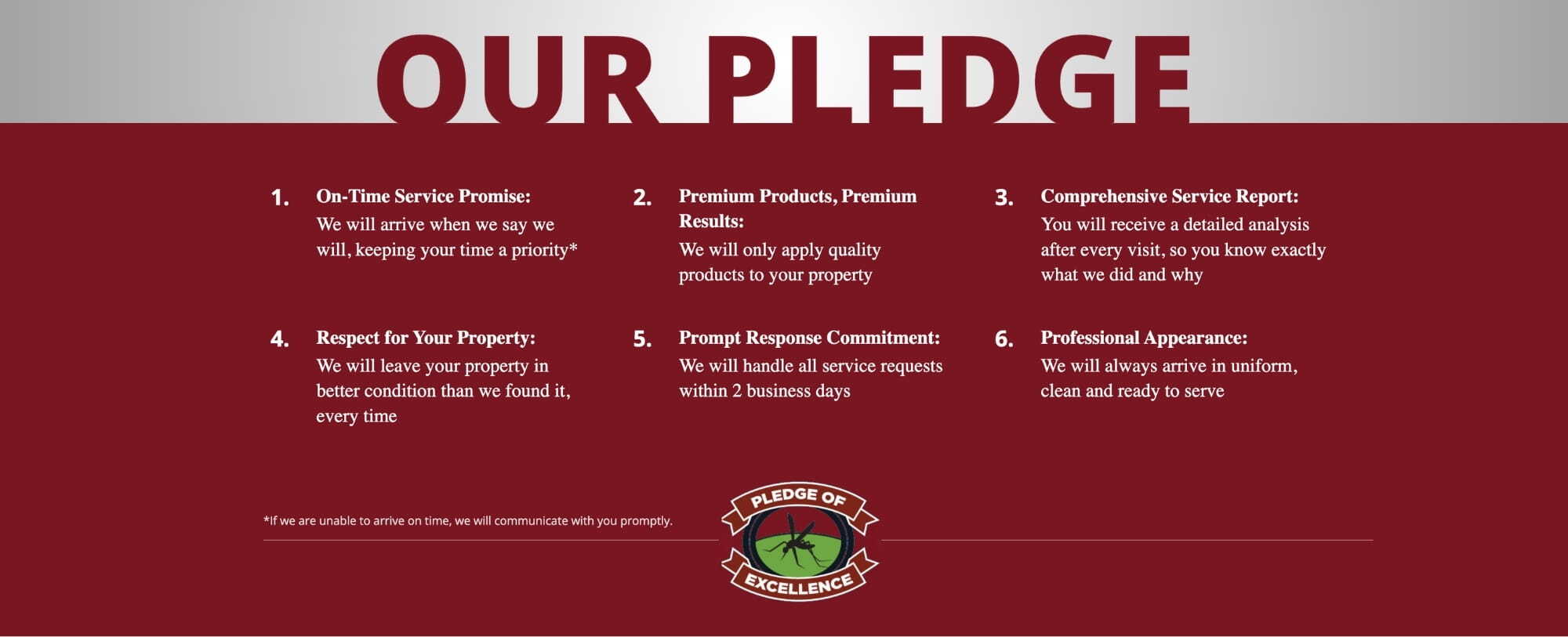 OurPledge-DefpestGraphic OurPledge-DefpestGraphic
